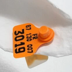 Bigoudi By Marie Talalaeff -Furniture Shop BigoudibyMarieTalalaeff.06