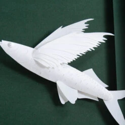 Brant Point Flying Fish 8 Brant Point Flying Fish -Furniture Shop BrantPoint.02