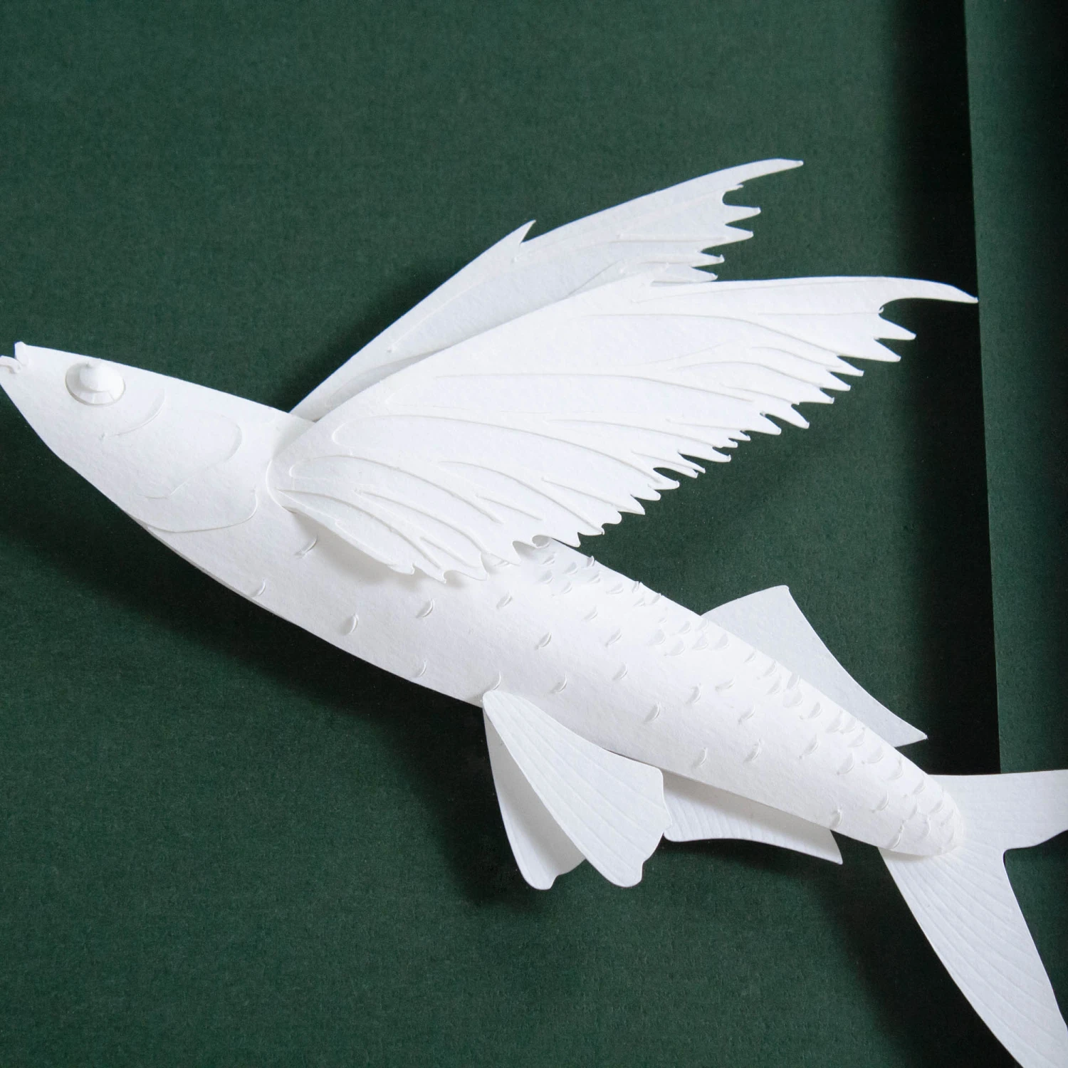 Brant Point Flying Fish 3 Brant Point Flying Fish - Image 3