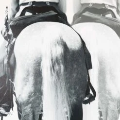 Brother Don Squared 7 Brother Don Squared -Furniture Shop BrotherDonSquared.03