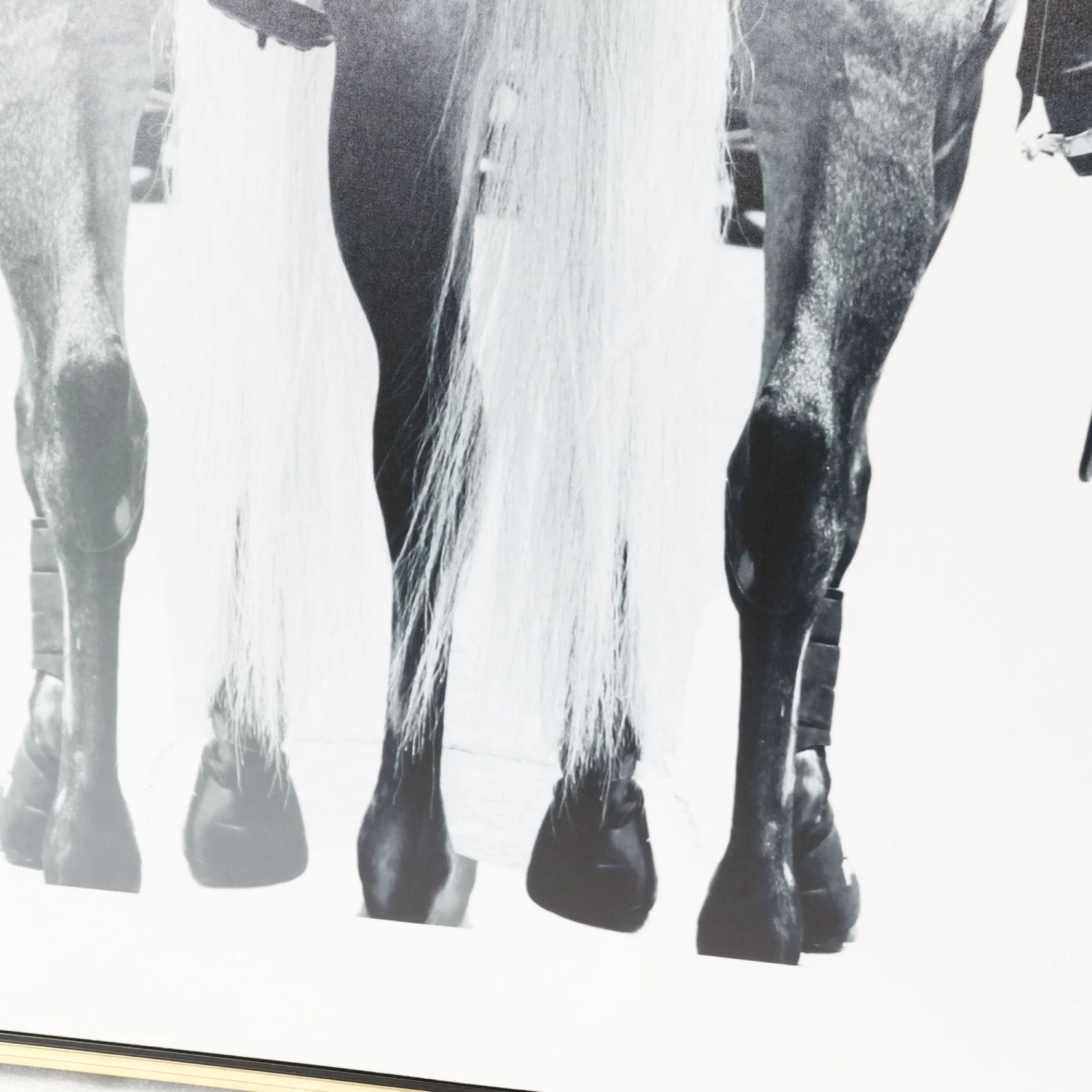 Brother Don Squared 3 Brother Don Squared - Image 3