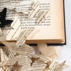 The Butterfly Effect -Furniture Shop ButterflyEffect.03