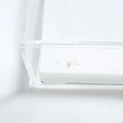 The Butterfly Effect -Furniture Shop ButterflyEffect.06