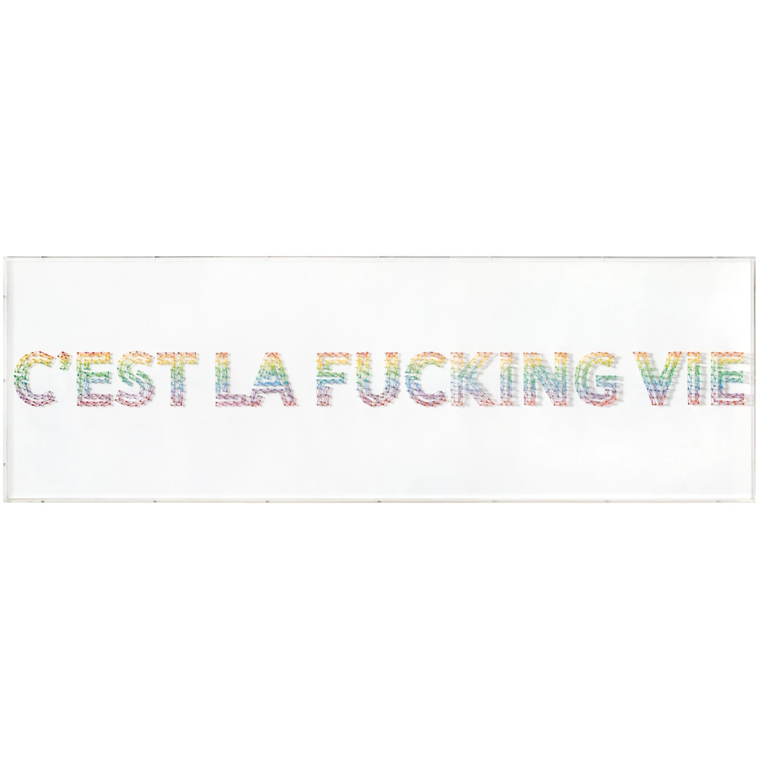 C'est La Fucking Vie 1 C'est La Fucking Vie