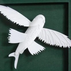 Dionis Flying Fish 10 Dionis Flying Fish -Furniture Shop Dionis.02