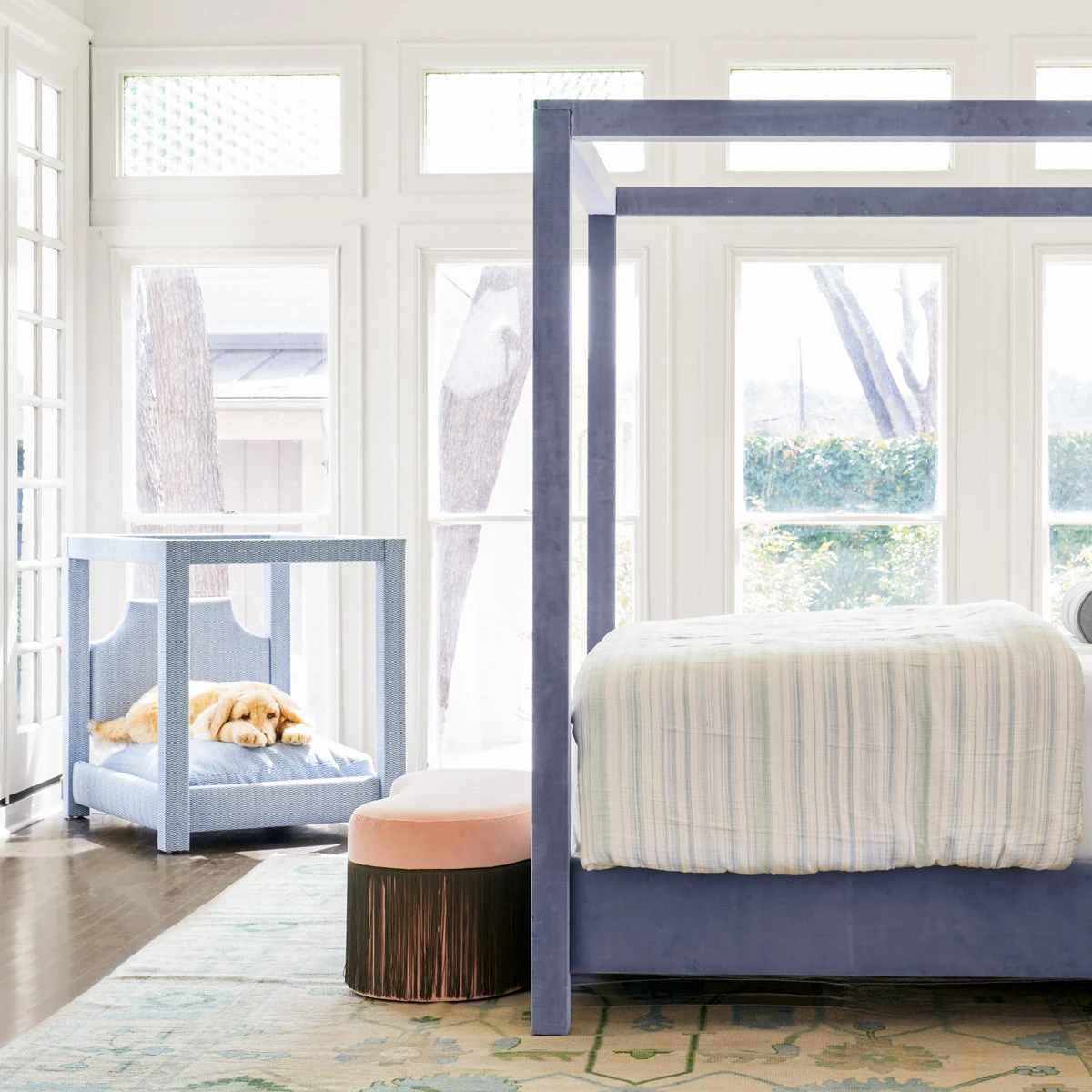 Custom Donna Dog Bed 2 Custom Donna Dog Bed - Image 2