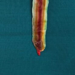 Ezra Sisal Grasscloth Wallpaper 5 Ezra Sisal Grasscloth Wallpaper -Furniture Shop EzraGrassclothWallpaper.03 1de275cd b464 4da2 aa00 25e2ec285cd9