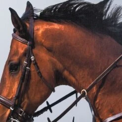 Framed Leaping Equestrian Artwork On Silk Cloth Left - Grey 9 Framed Leaping Equestrian Artwork On Silk Cloth Left - Grey -Furniture Shop FramedLeapingEquestrianArtworkonSilkClothLeft Grey.02