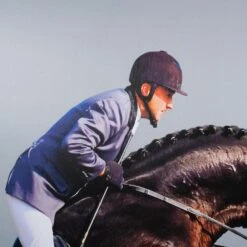 Framed Leaping Equestrian Artwork On Silk Cloth Right - Grey -Furniture Shop FramedLeapingEquestrianArtworkonSilkClothRight Grey.02