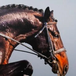 Framed Leaping Equestrian Artwork On Silk Cloth Right - Grey -Furniture Shop FramedLeapingEquestrianArtworkonSilkClothRight Grey.03