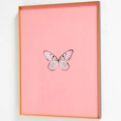 Framed Butterfly Print In Blush 7 Framed Butterfly Print In Blush -Furniture Shop Framed 20Butterfly 20Print 20In 20Blush.03