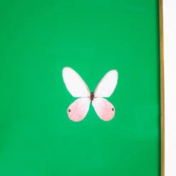 Framed Butterfly Print In Verdant Green -Furniture Shop Framed 20Butterfly 20Print 20In 20Green.03