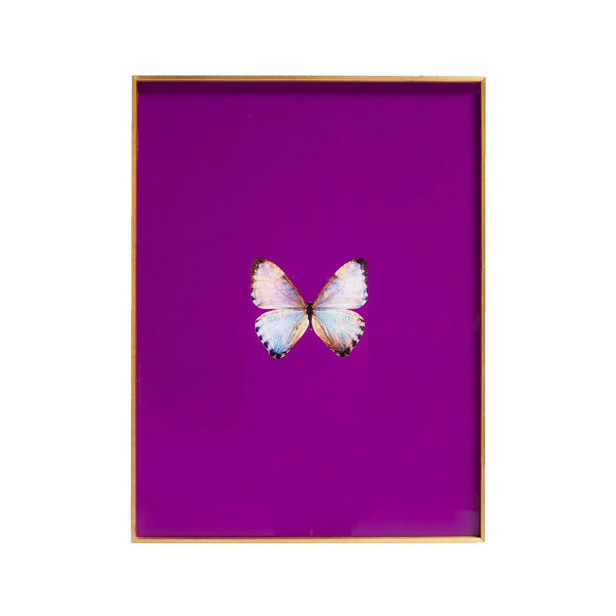 Framed Butterfly Print In Magenta 1 Framed Butterfly Print In Magenta