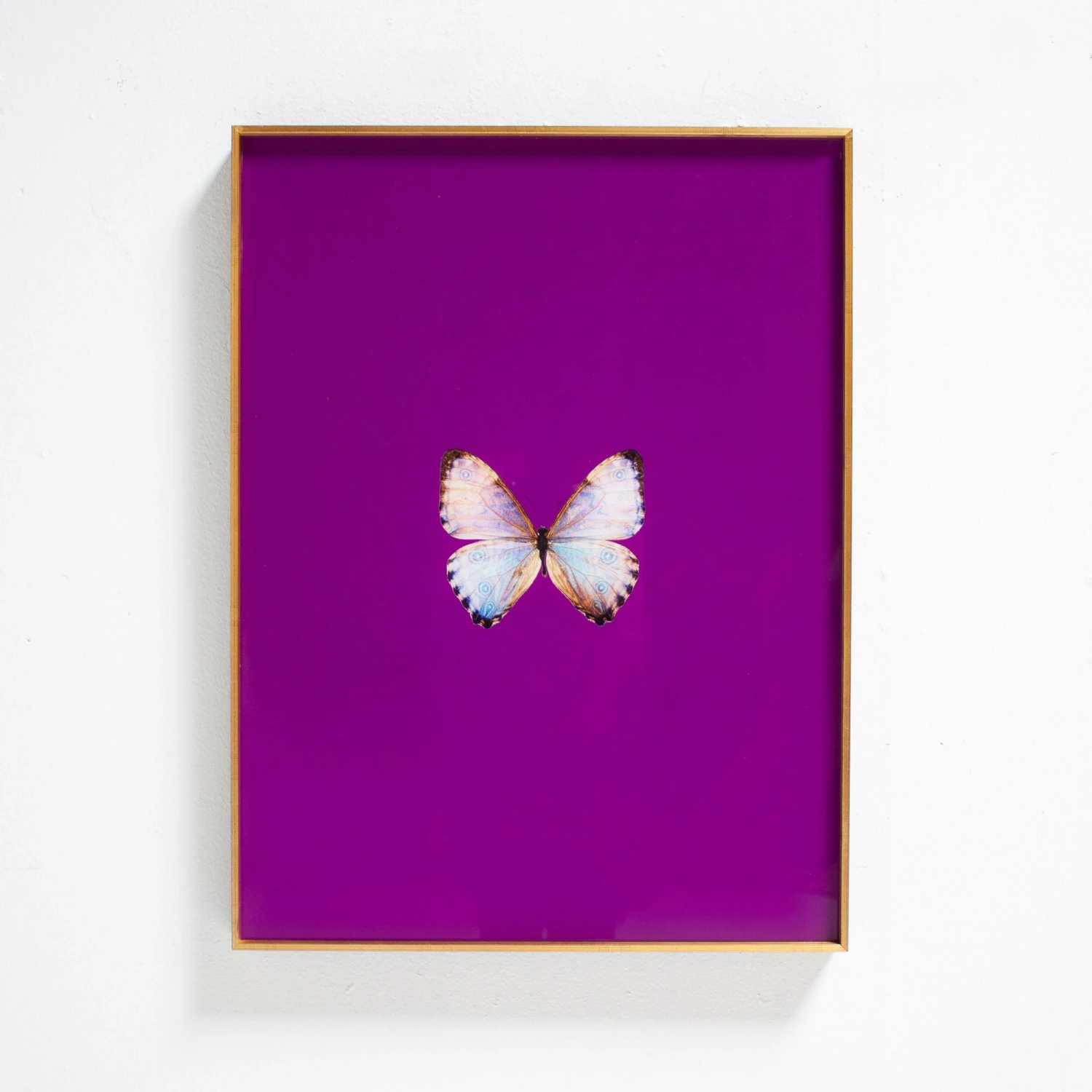 Framed Butterfly Print In Magenta 3 Framed Butterfly Print In Magenta - Image 3
