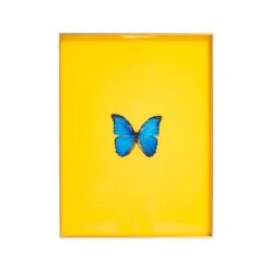 Framed Butterfly Print In Yellow