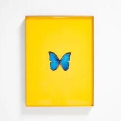Framed Butterfly Print In Yellow -Furniture Shop Framed 20Butterfly 20Print 20In 20Yellow.03