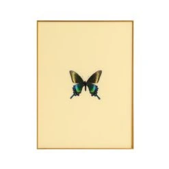 Framed Butterfly Print In Butter