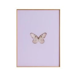 Framed Butterfly Print In Lavender
