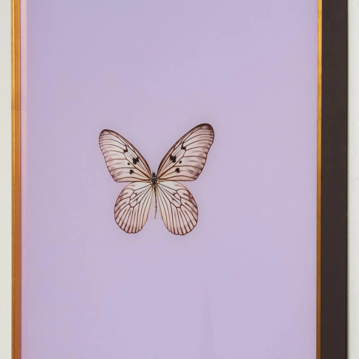 Framed Butterfly Print In Lavender 2 Framed Butterfly Print In Lavender - Image 2