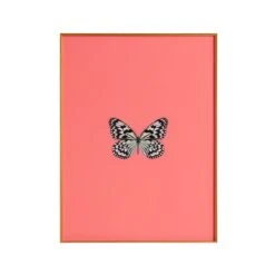 Framed Butterfly Print In Persimmon