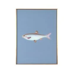 Framed Fish Print In Deep Sea Blue