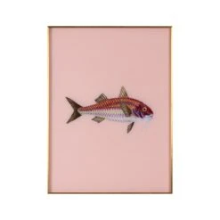Framed Fish Print In Light Coral