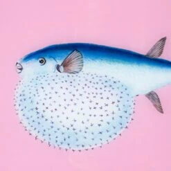 Framed Fish Print In Mermaid Pink -Furniture Shop Framed 20Fish 20Print 20in 20Mermaid 20Pink.04