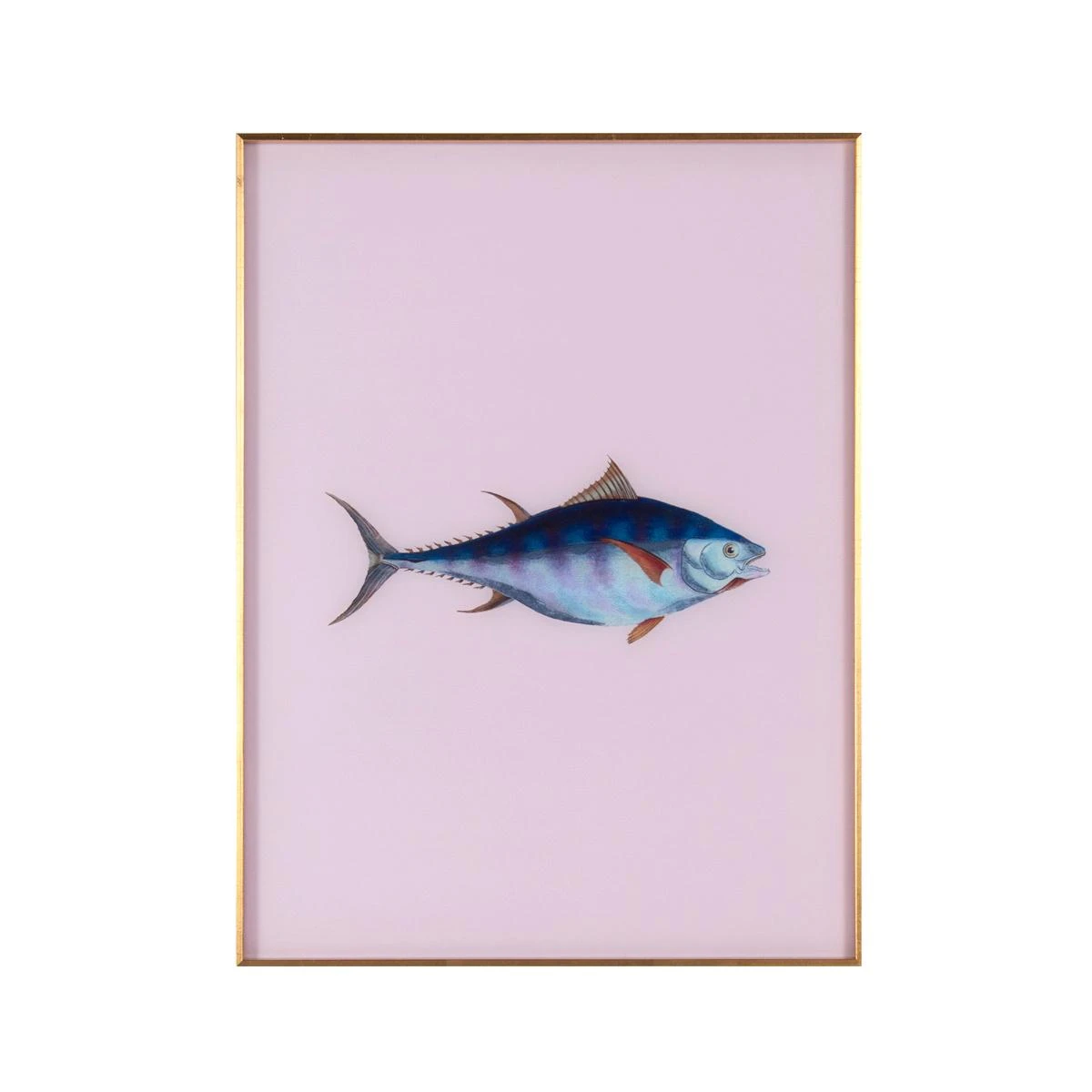 Framed Fish Print In Moonlight 1 Framed Fish Print In Moonlight