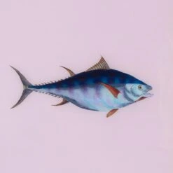 Framed Fish Print In Moonlight 6 Framed Fish Print In Moonlight -Furniture Shop Framed 20Fish 20Print 20in 20Moonlight.03