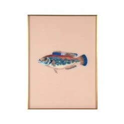 Framed Fish Print In Sand