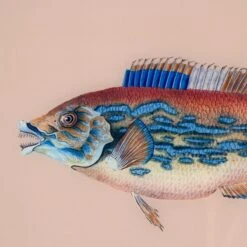 Framed Fish Print In Sand -Furniture Shop Framed 20Fish 20Print 20in 20Sand.03