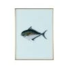 Framed Fish Print In Sea Spray