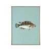 Framed Fish Print In Seagrass