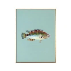Framed Fish Print In Seagrass
