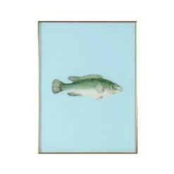 Framed Fish Print In Tide Blue