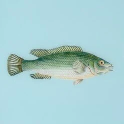 Framed Fish Print In Tide Blue -Furniture Shop Framed 20Fish 20Print 20in 20Tide 20Blue.03