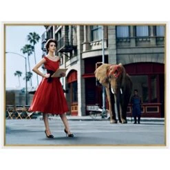 Glamour 'Model With Elephant' By Kenneth Willardt