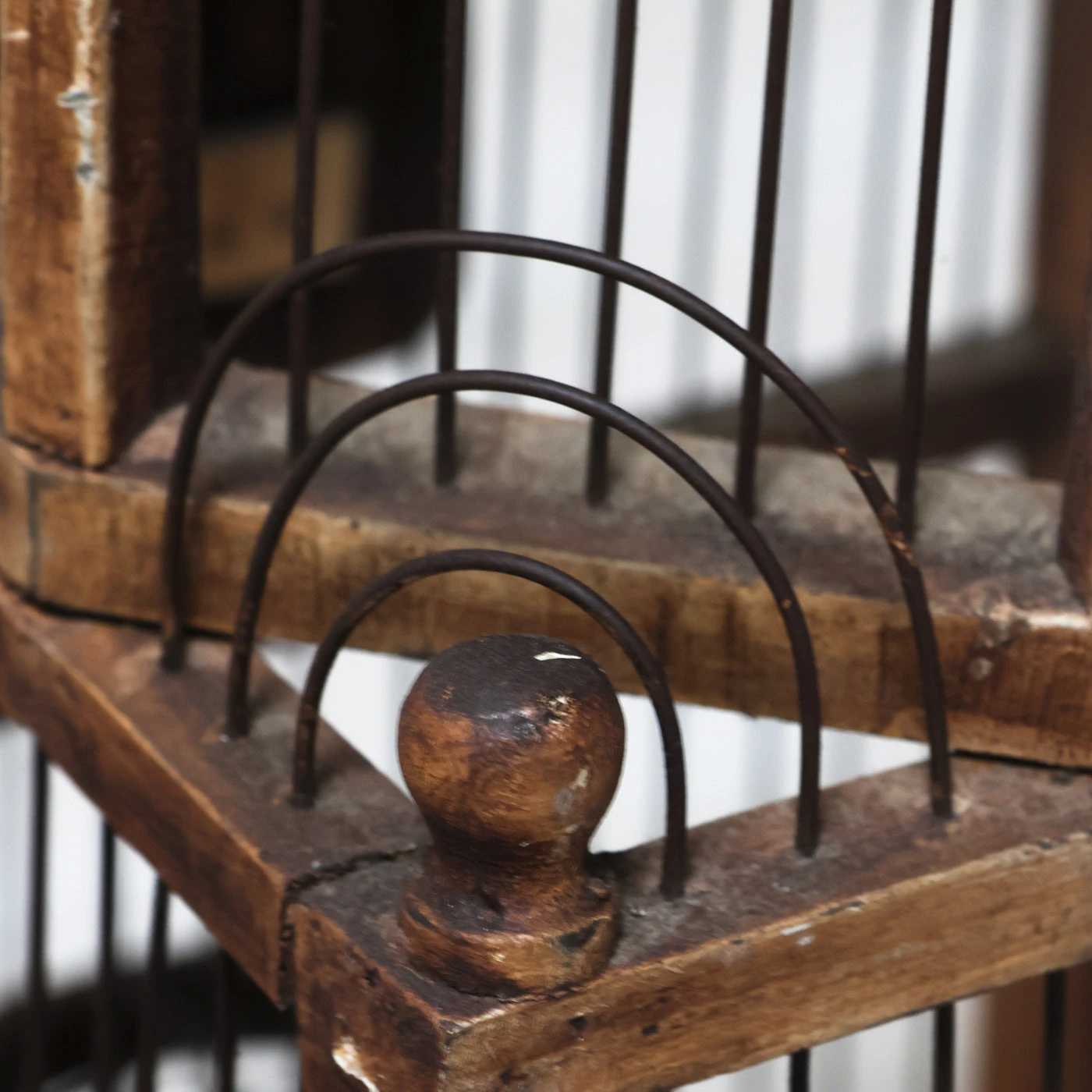 Table Top Bird Cage / Manor 4 Table Top Bird Cage / Manor - Image 4