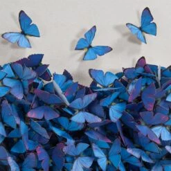 Hearts On Fire - Blue -Furniture Shop Hearts 20On 20Fire 20 20Blue.03