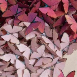 Hearts On Fire - Pink 9 Hearts On Fire - Pink -Furniture Shop Hearts 20on 20Fire 20 20Pink.04