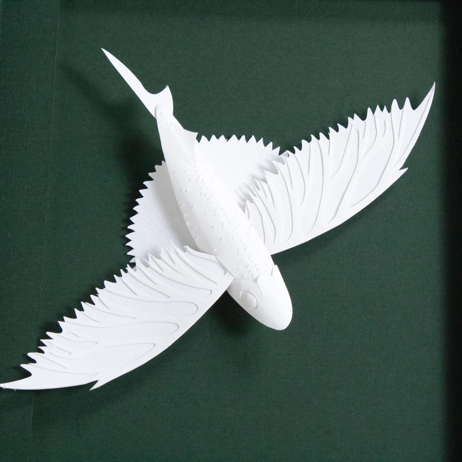 Jetties Flying Fish 4 Jetties Flying Fish - Image 4