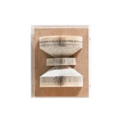 The Library Is Open C