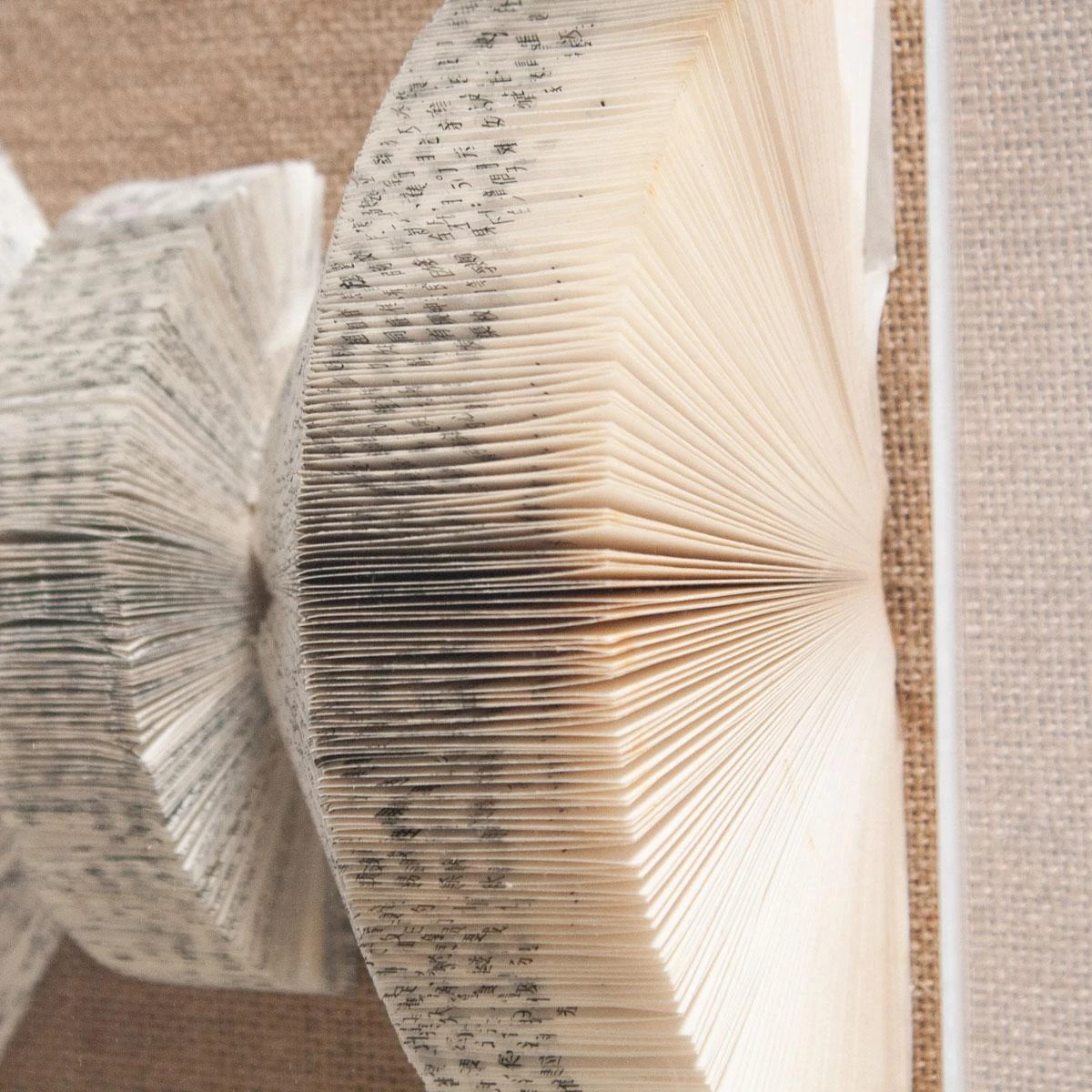 The Library Is Open C 2 The Library Is Open C - Image 2