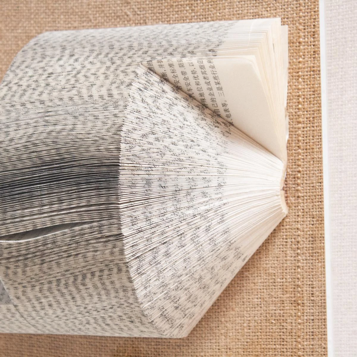 The Library Is Open D 2 The Library Is Open D - Image 2