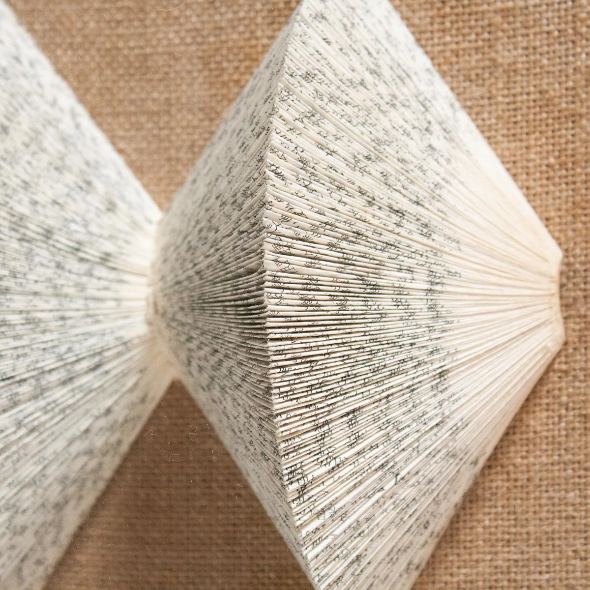 The Library Is Open H 2 The Library Is Open H - Image 2