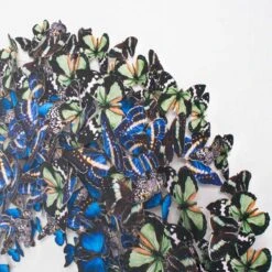 Mari Blue -Furniture Shop MariBlue.03