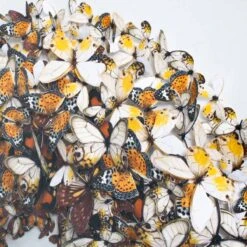 Mari Gold -Furniture Shop MariGold.03