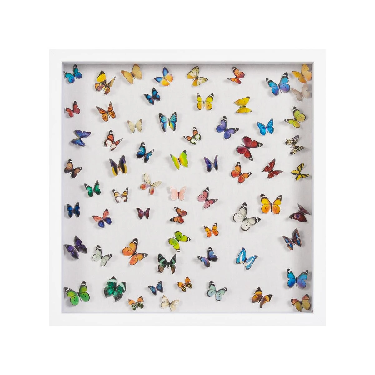 Park Cities Posas 1 Park Cities Posas