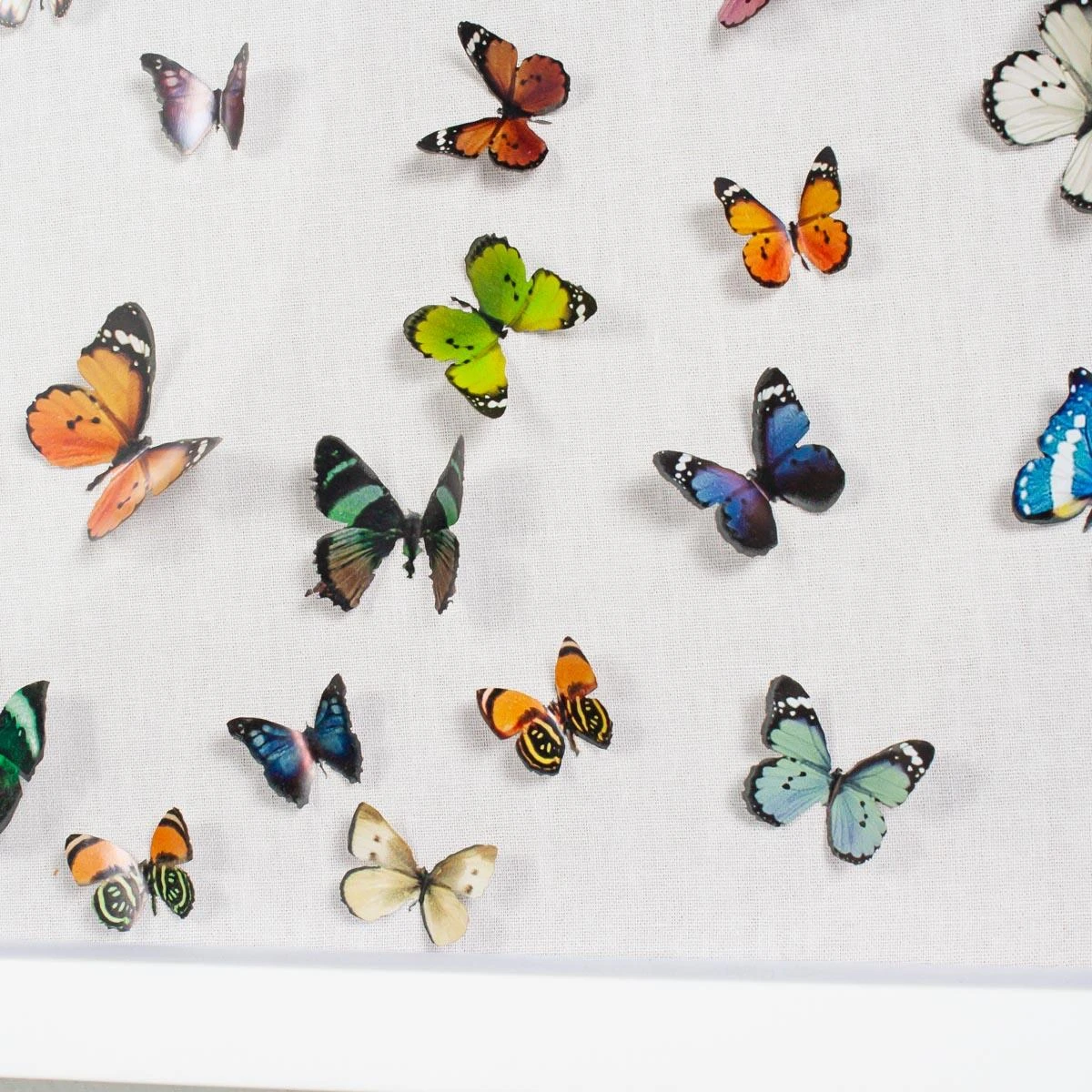 Park Cities Posas 3 Park Cities Posas - Image 3