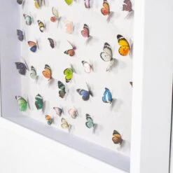 Park Cities Posas 8 Park Cities Posas -Furniture Shop Park 20Cities 20Posas.04